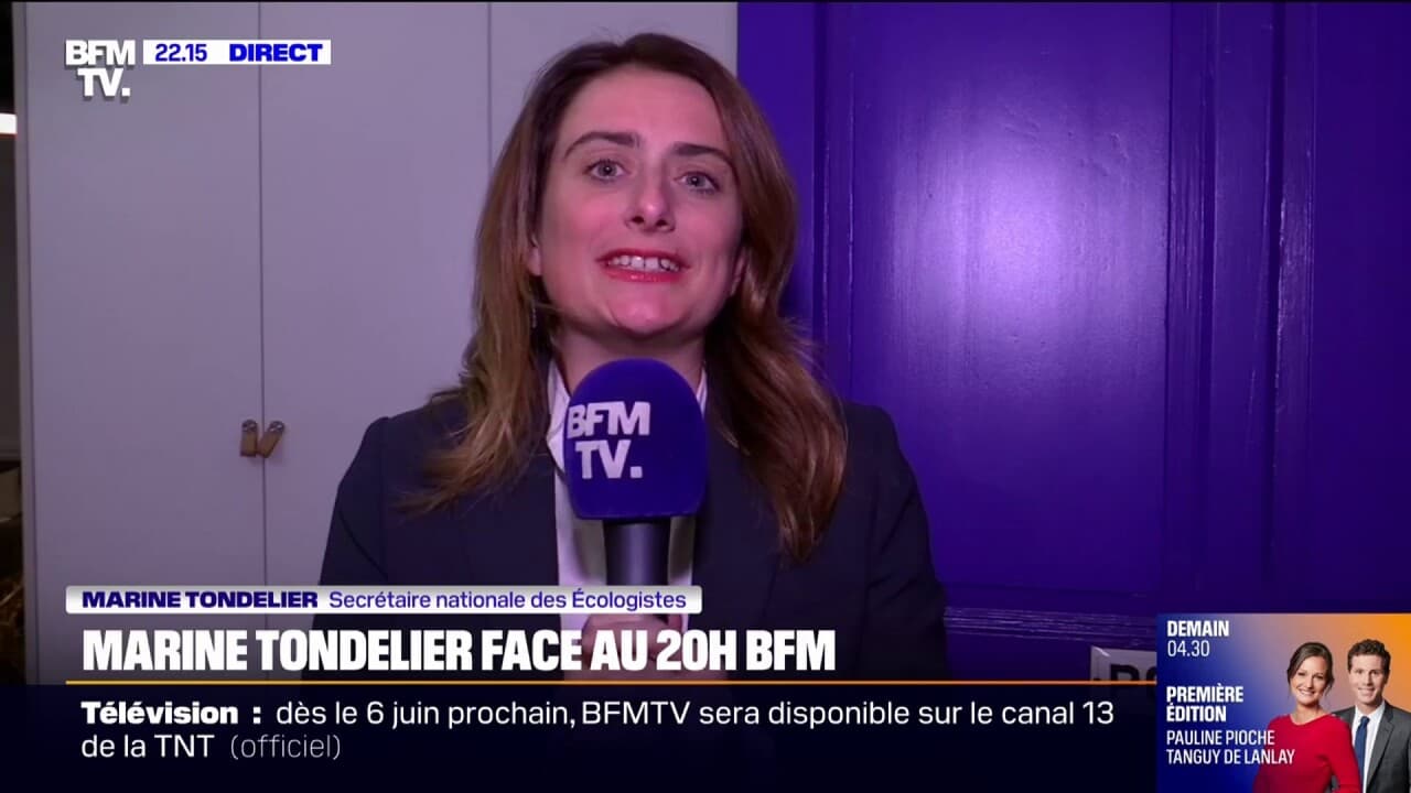 Marine Tondelier et le débat houleux sur RMC : une fachologue sous le feu des critiques